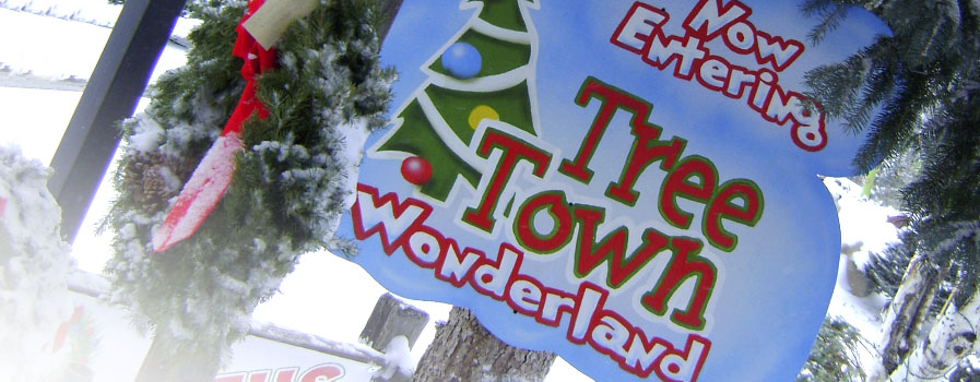 Welcome sign for Tree Town Wonderland